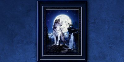 Wolf