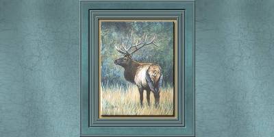 Elk