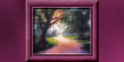 Country Lane