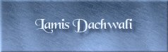 Lamis Dachwali
