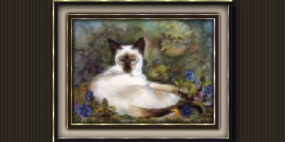 Sheba