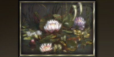 Waterlilies