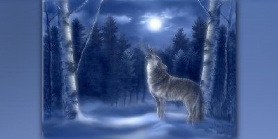 Wolf