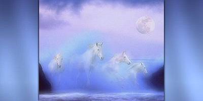 Horses